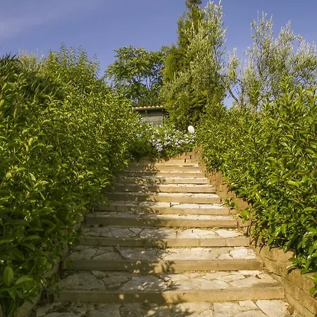 Bed & Breakfast Collina Dei Ciliegi *